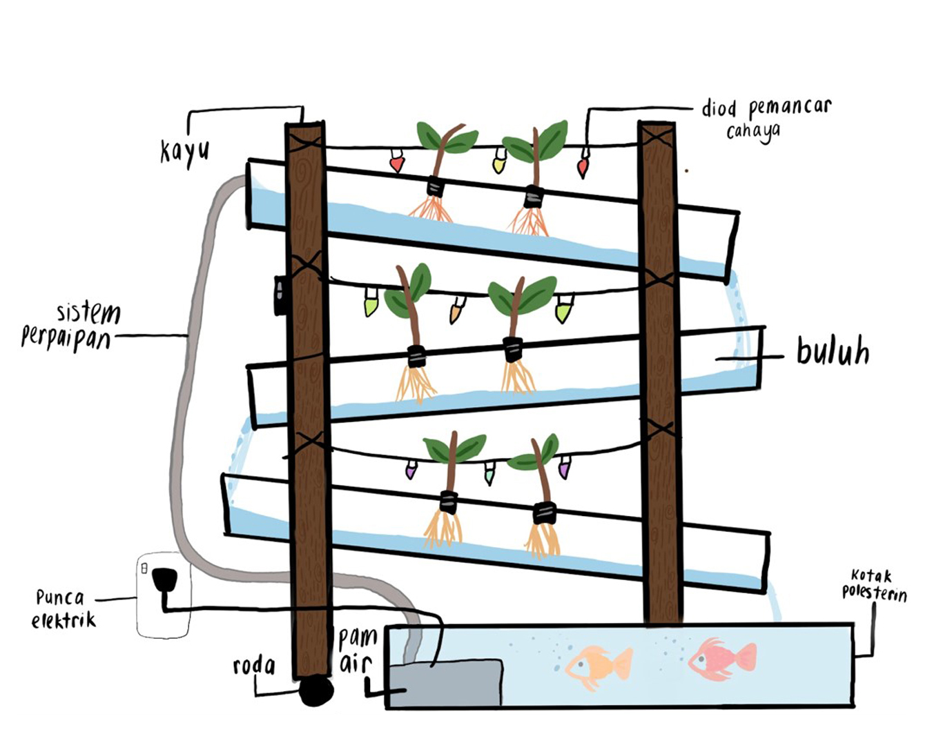 Aquaponics System Sekolah Menengah Rafflesia Puchong